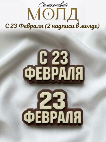 №1046 23 февраля молд две надписи 