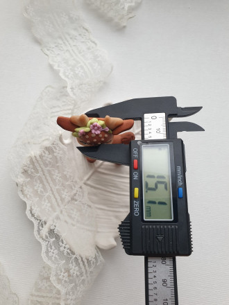 №1021 Олененок 