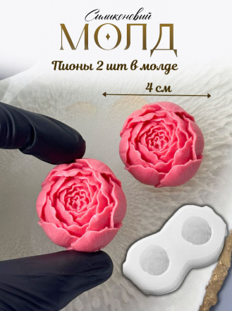 №970 Цветы пионы №970 Цветы пионы